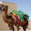 Registan